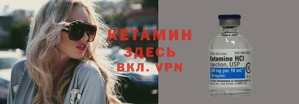 шишки Медвежьегорск