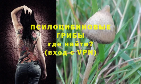 индика Ачинск