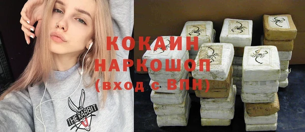 МДПВ Михайлов