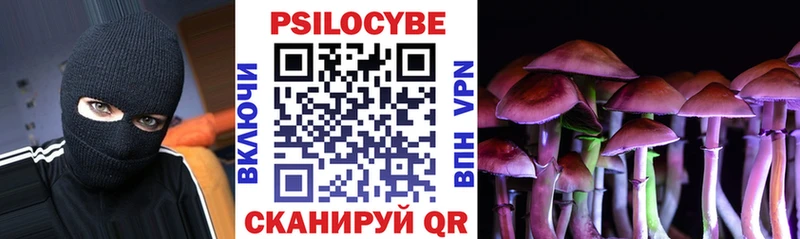купить   Воткинск  Псилоцибиновые грибы Cubensis 