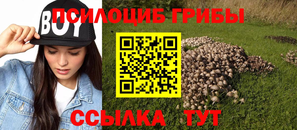 Галлюциногенные грибы Magic Shrooms  Воткинск 